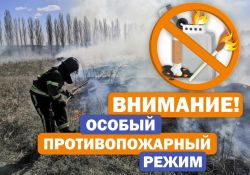 С 13 мая 2023 года на территории области устанавливается особый противопожарный режим
